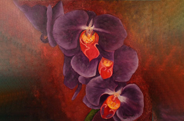 Orchids