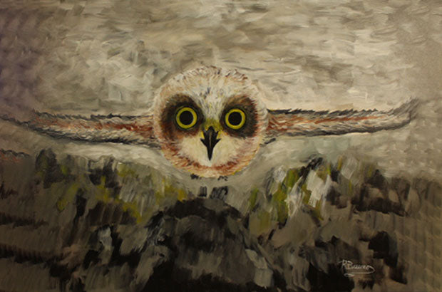 Owl